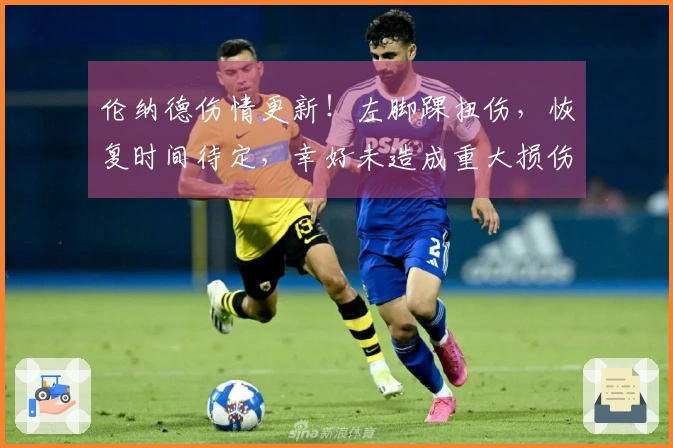 伦纳德伤情更新！左脚踝扭伤，恢复时间待定，幸好未造成重大损伤！