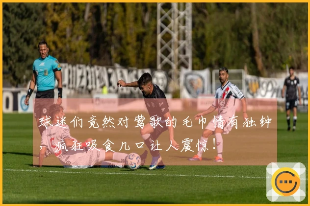 球迷们竟然对莺歌的毛巾情有独钟，疯狂吸食几口让人震惊！