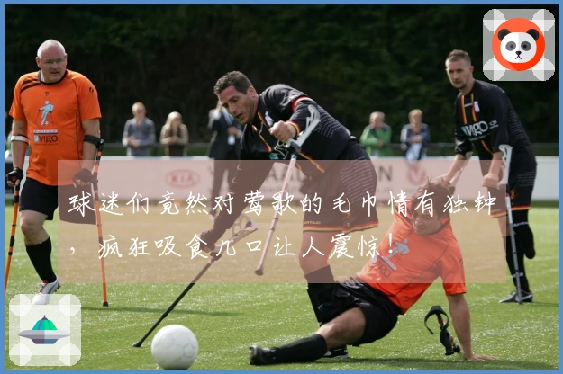 球迷们竟然对莺歌的毛巾情有独钟，疯狂吸食几口让人震惊！